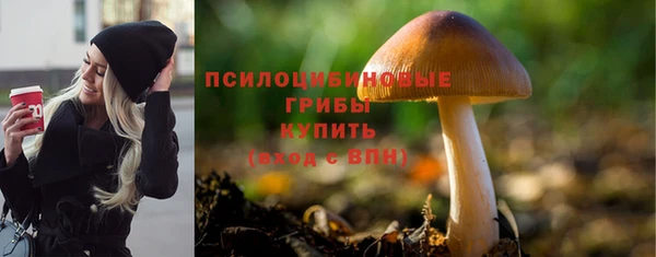 spice Белоозёрский