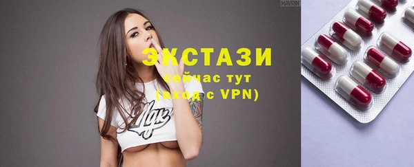 ECSTASY Богданович