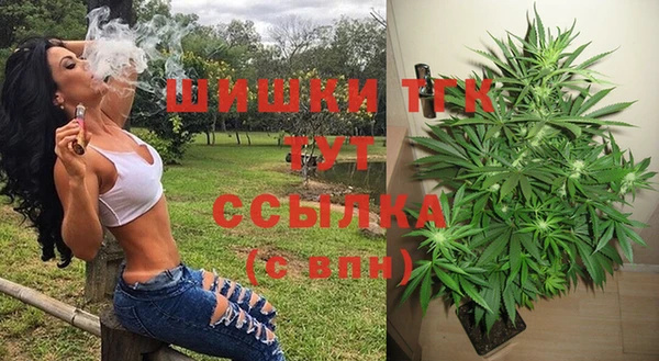 хмурый Богородск