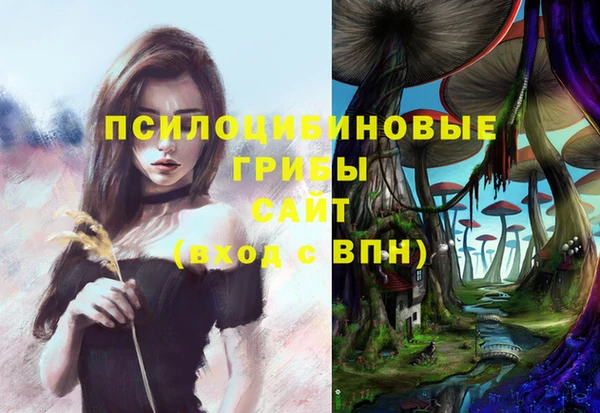 spice Белоозёрский
